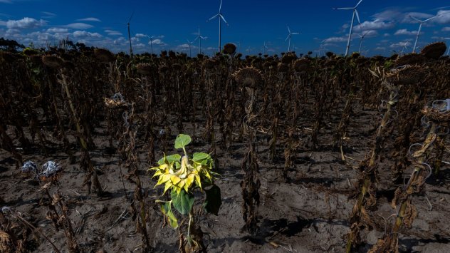 Снимка: Bloomberg LP