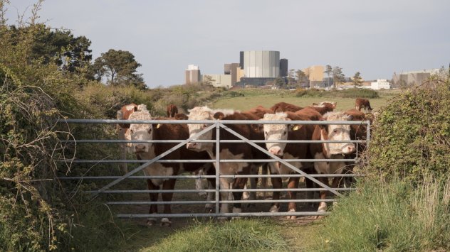 Новото поколение по малки атомни реактори предназначени да рекламират ролята на