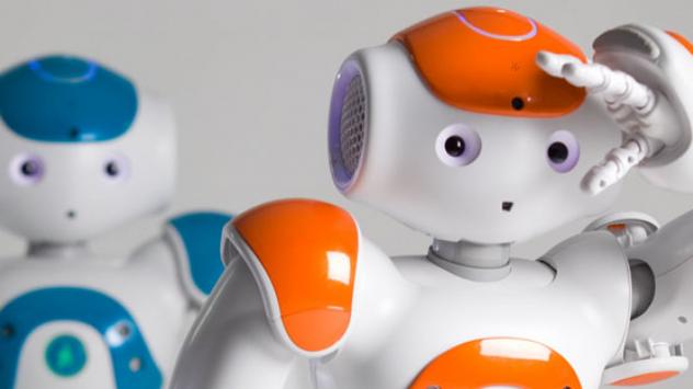 Снимка: SoftBank Robotics Europe/Facebook