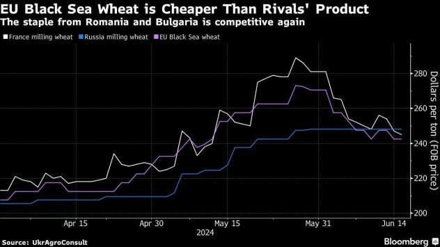 Графика: Bloomberg