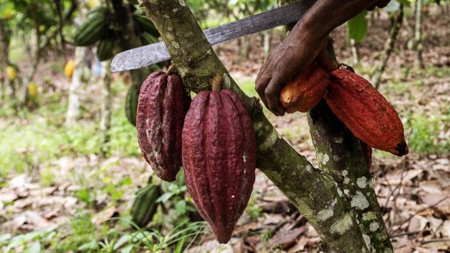 Снимка: Bloomberg L.P.