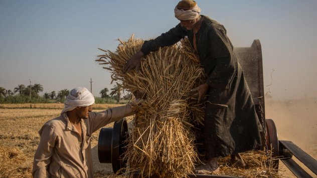 В продължение на десетилетия продавачите на египетските пазари продаваха субсидиран
