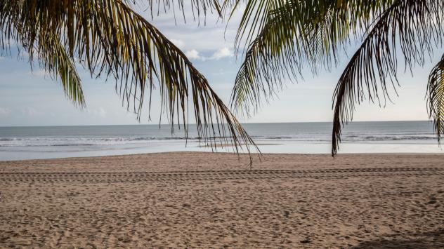 Снимка: Bloomberg 