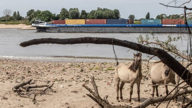 Снимка: Bloomberg