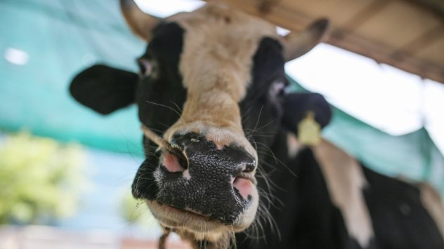 Снимка: Bloomberg