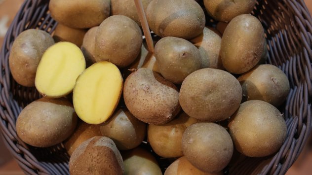 Снимка: Bloomberg L.P.