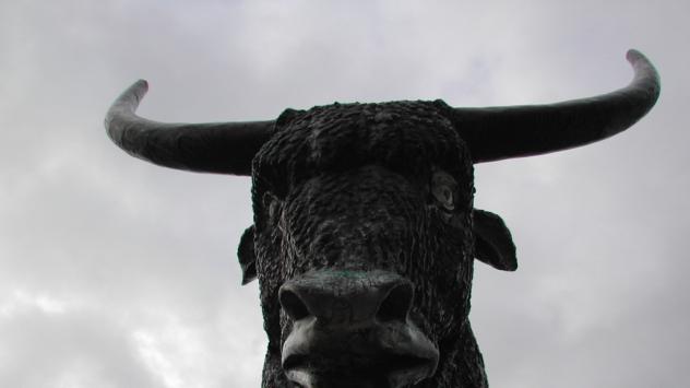 Снимка: freeimages.com