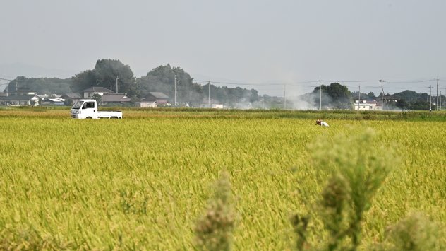 Снимка: Bloomberg