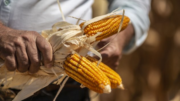 Снимка: Bloomberg LP