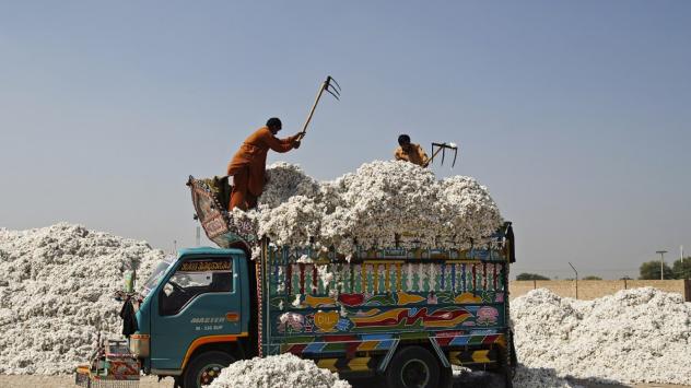 Работници товарят памук в Пакистан. Снимка: Asad Zaidi/Bloomberg
