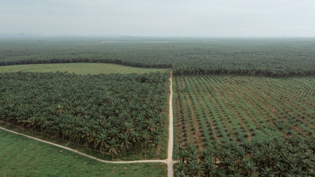 Снимка: Bloomberg LP