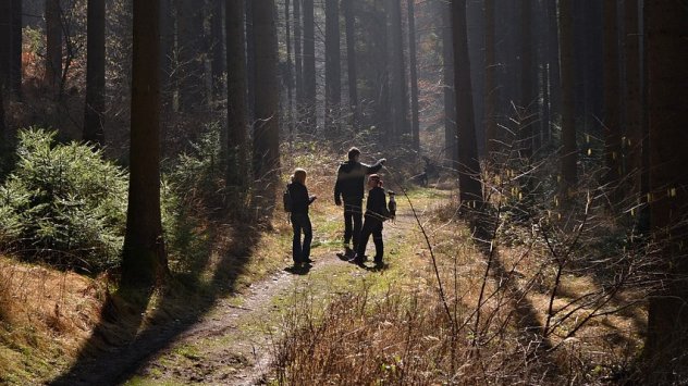 Снимка: Pixabay