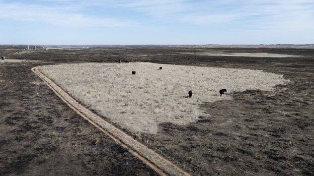 Снимка: Bloomberg LP