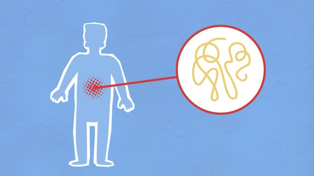 Снимка: Pexels.com