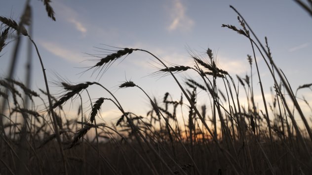 Руската военна инвазия в Украйна може да е спряла в