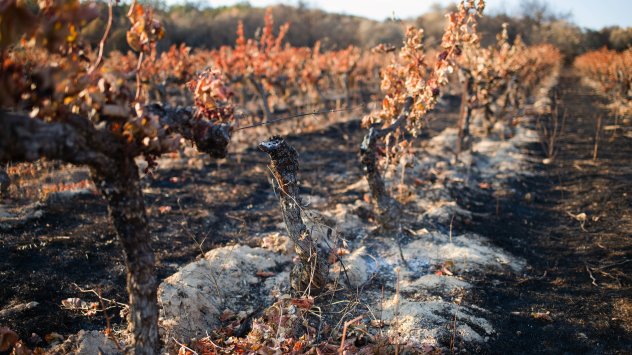 Снимка: Bloomberg LP