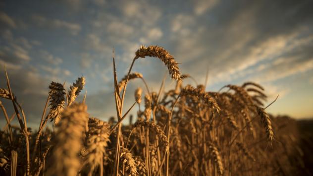 Снимка: Jason Alden/Bloomberg