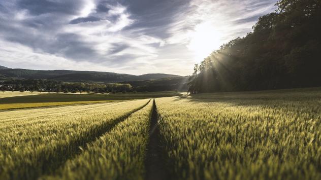 Снимка: pixabay.com