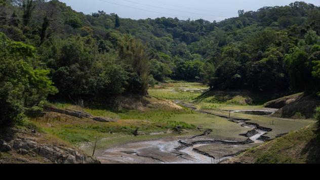 Снимка: Billy H.C. Kwok/Bloomberg