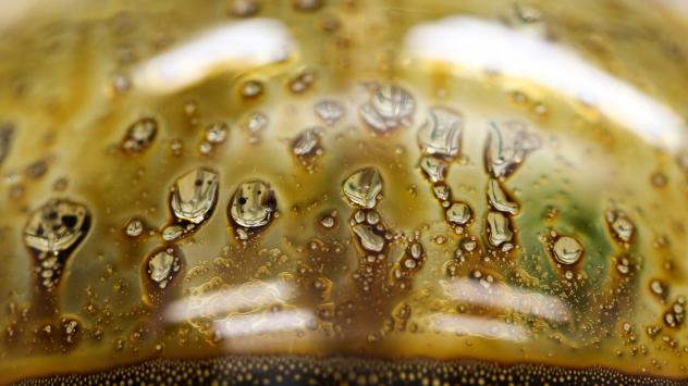 Снимка: Andrey Rudakov/Bloomberg