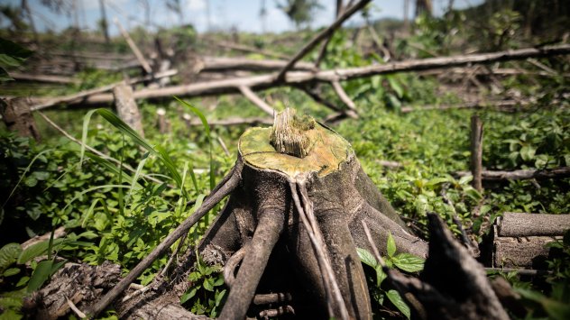 Снимка: Bloomberg L.P.