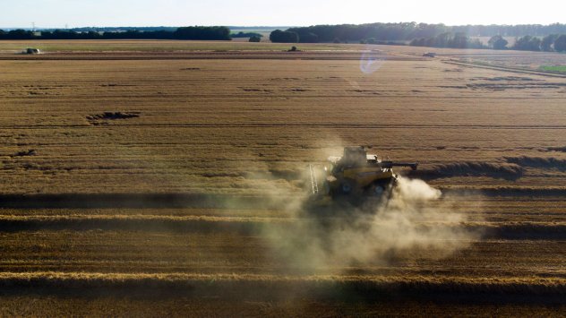 Перспективите за глобалните зърнени култури спрямо първите хаотични седмици от