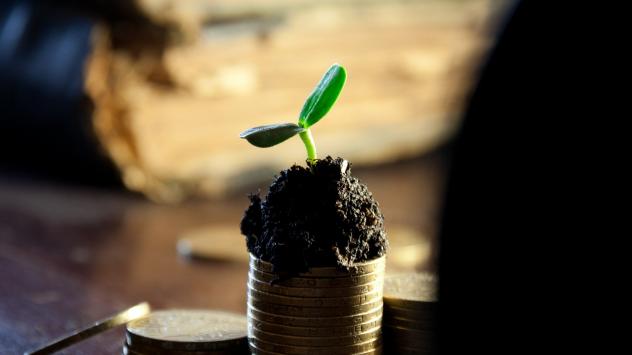 Снимка: Pixabay