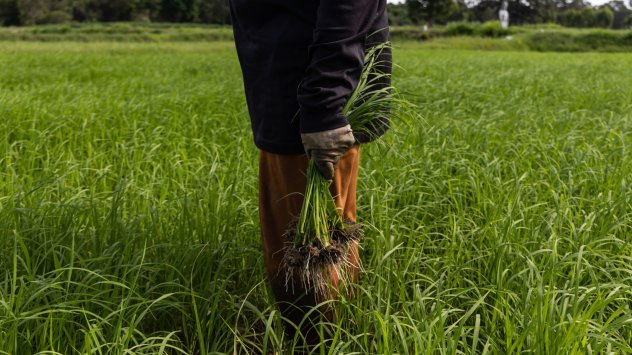 Снимка: Bloomberg