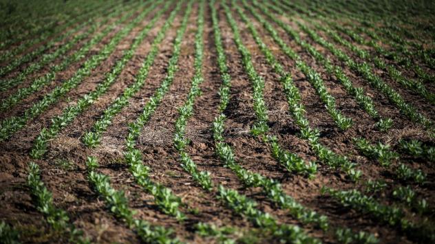 Снимка: David Gray/Bloomberg