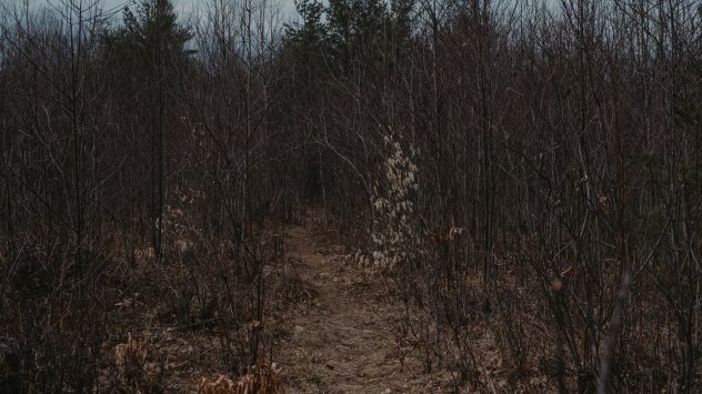 Снимка: Bloomberg