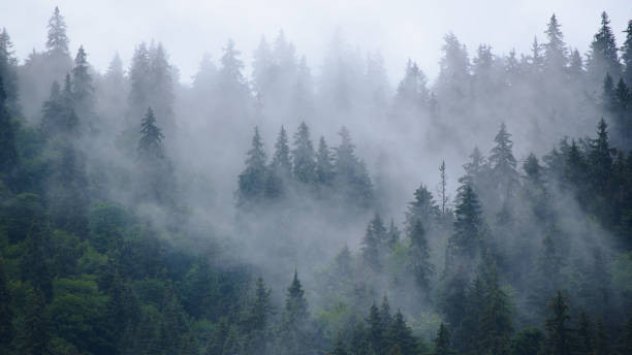 Емисиите от изкопаеми горива до момента представляват най голяма част от