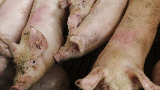 Снимка: Bloomberg