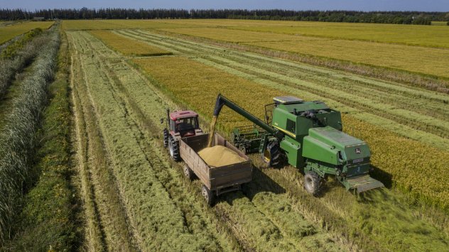 Снимка: Bloomberg L.P.