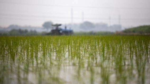 Снимка:  Prashanth Vishwanathan/Bloomberg