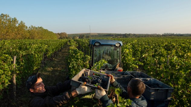 Снимка: Bloomberg L.P.