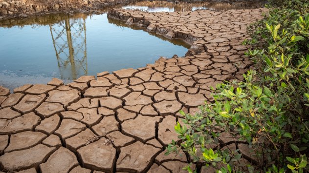 Снимка: Bloomberg L.P.