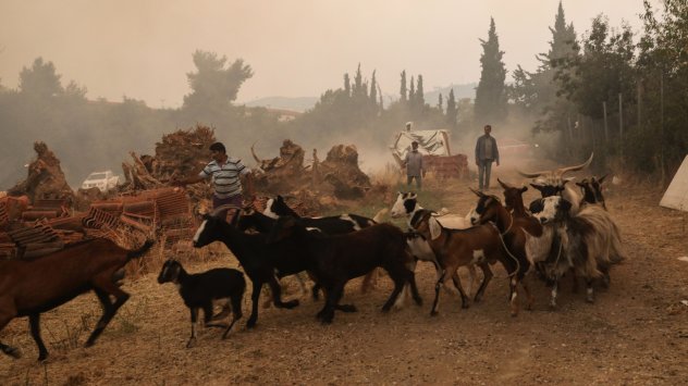 Снимка: Bloomberg