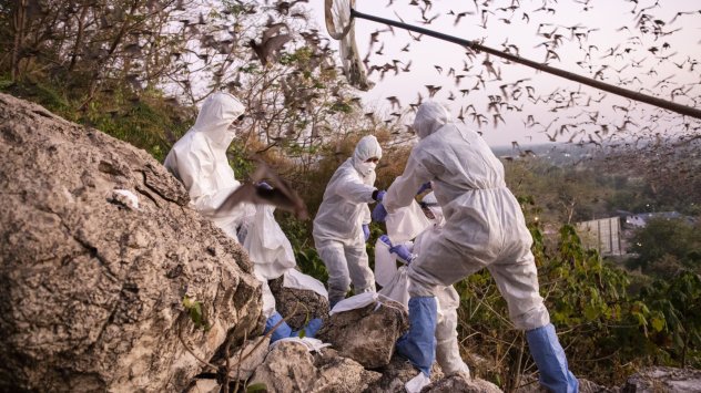 Терминът разпространение на зоонози може да звучи или успокояващо или