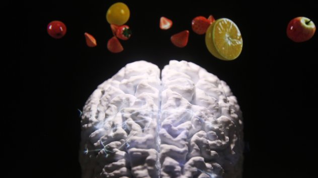 Нова компания за изследвания на мозъка е набрала милиони долари