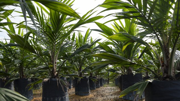 Снимка: Bloomberg L.P.