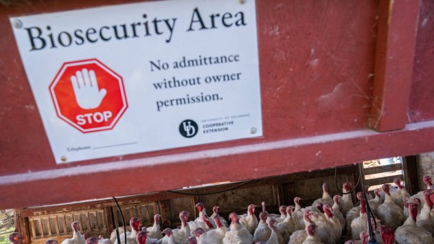 Снимка: Bloomberg L.P. 