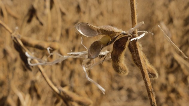 Снимка: Bloomberg