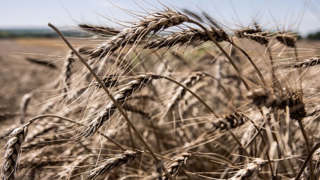 Снимка: Bloomberg L.P.