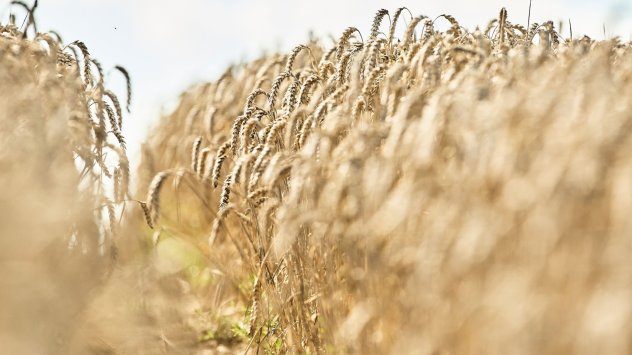 Снимка: Bloomberg L.P.