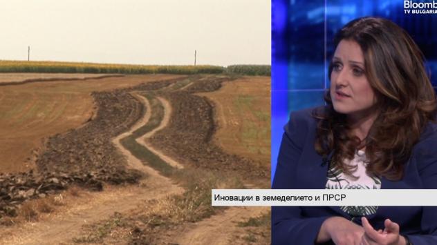 Светлана Боянова, председател на Института за агростратегии и иновации. Снимка: Bloomberg TV Bulgaria