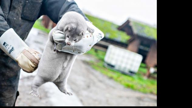 Снимка: Bloomberg 