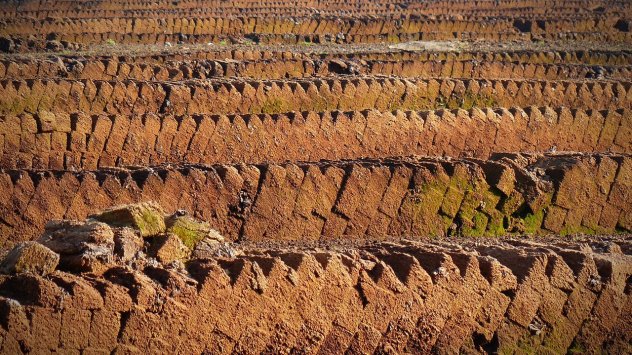 Снимка: Pixabay