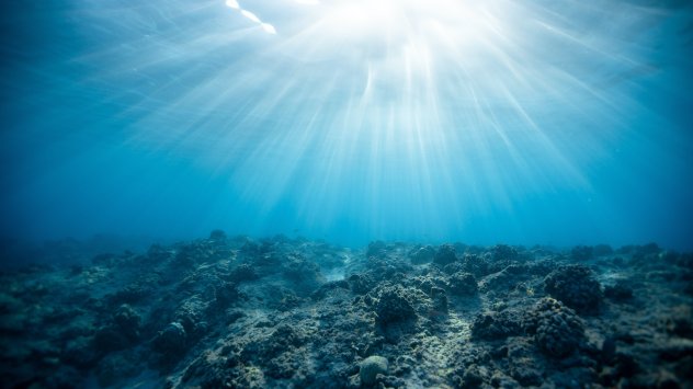 Източник: pexels.com