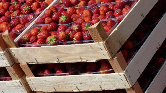 Снимка: Pixabay