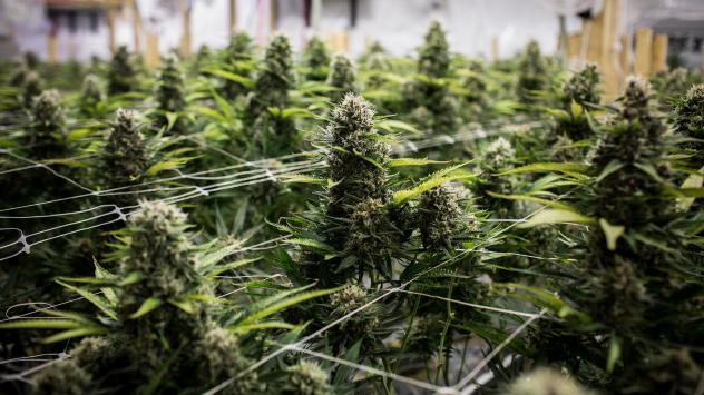 Снимка: Bloomberg